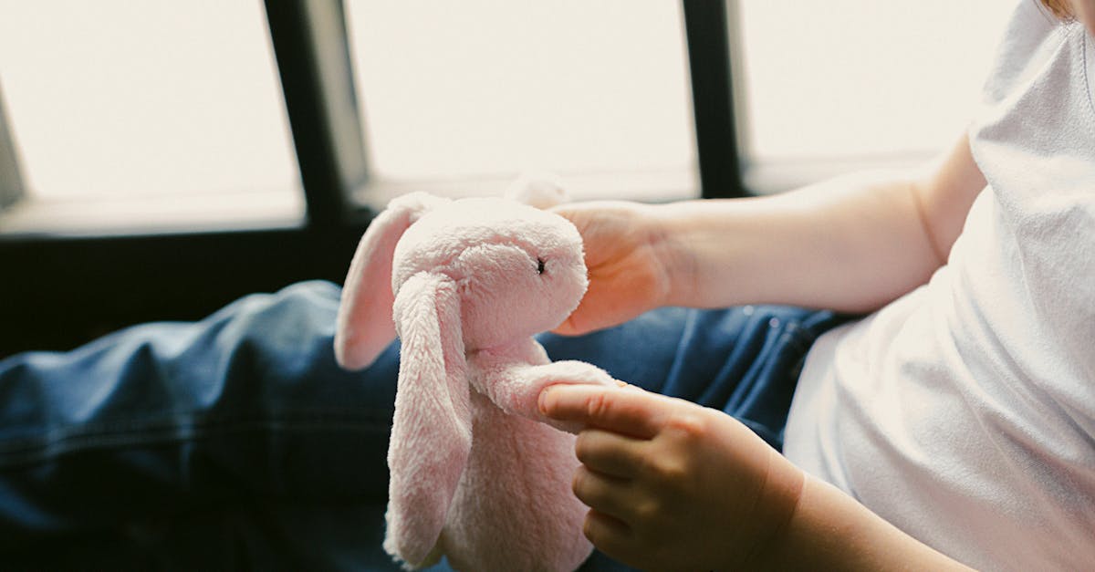 découvrez tout ce qu'il faut savoir pour adopter un lapin : conseils, démarches et bienfaits d'accueillir un compagnon doux et affectueux chez vous. offrez une seconde chance à un lapin !