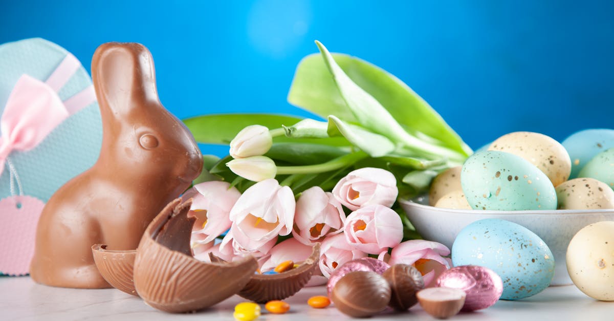 découvrez tout ce qu'il faut savoir sur la nourriture pour lapin : aliments recommandés, conseils nutritionnels et astuces pour offrir une alimentation saine à votre lapin domestique.