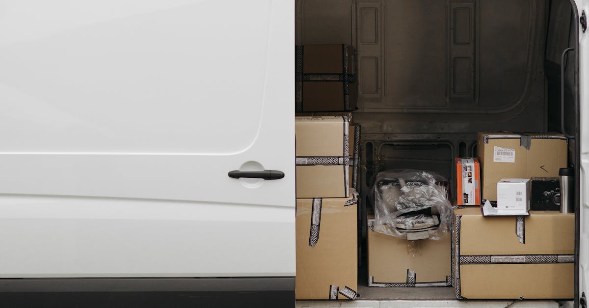 découvrez notre caisse de transport pour lapin, idéale pour assurer confort et sécurité à votre compagnon lors de tous vos déplacements. pratique, légère et facile à nettoyer.