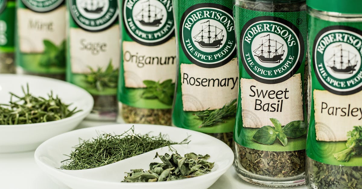 découvrez tout sur le romarin : ses bienfaits, utilisations en cuisine, astuces de culture et propriétés naturelles pour votre santé et votre jardin.