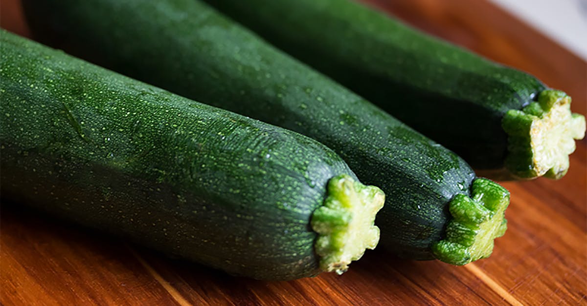 découvrez tout sur la courgette : ses bienfaits, des conseils pour la cuisiner, des idées de recettes savoureuses et des astuces pour la cultiver facilement au potager.