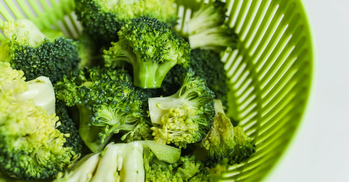 découvrez tous les bienfaits du brocoli, un légume riche en vitamines, minéraux et antioxydants. apprenez comment le cuisiner facilement pour une alimentation saine et gourmande !