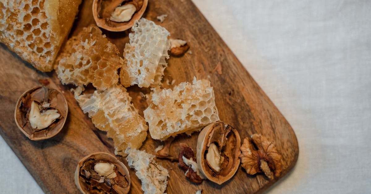 découvrez tout sur la noisette : ses bienfaits pour la santé, ses utilisations culinaires, et des idées de recettes gourmandes pour intégrer ce fruit à coque délicieux dans votre alimentation.